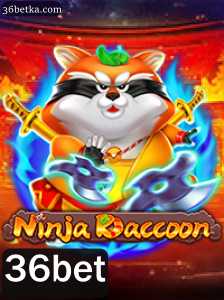 Explorando o Mundo de NinjaRaccoon: Um Guia Completo